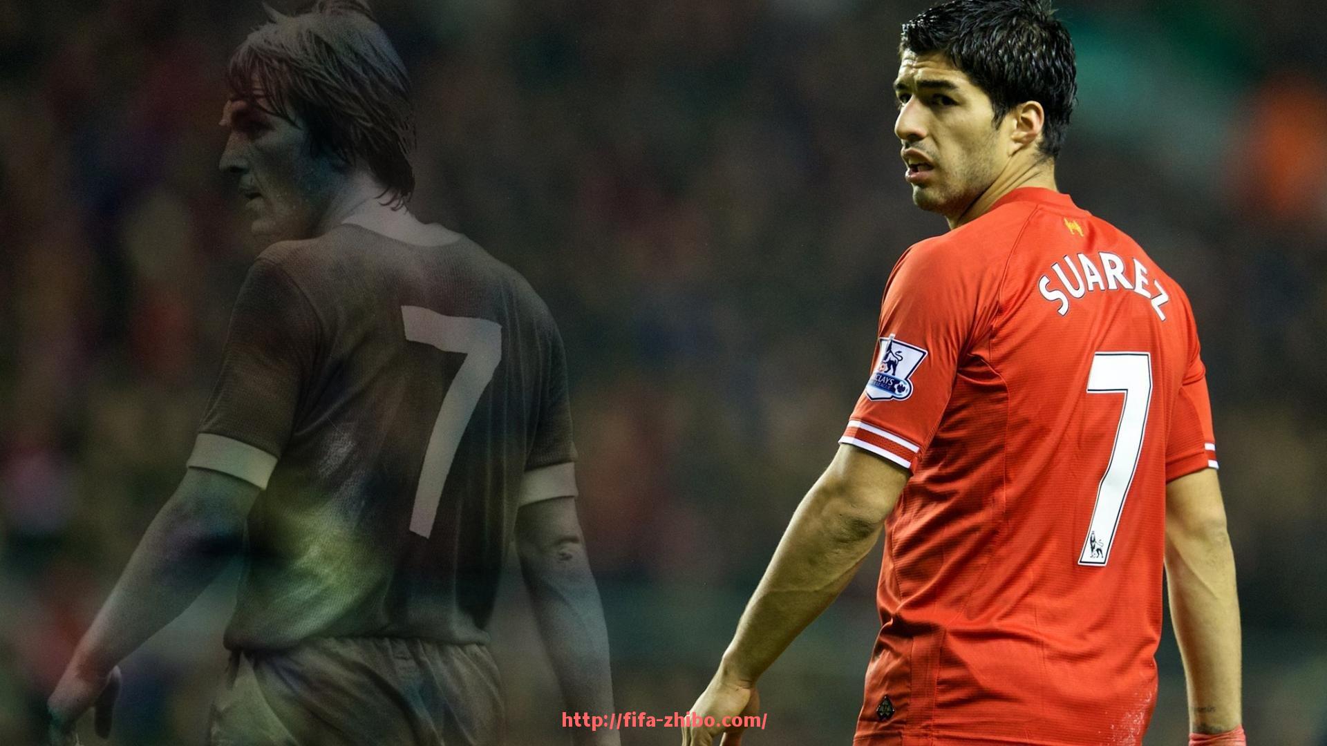 世俱杯直播-锦州康乐佳健身器材品牌及产品特点深度评测